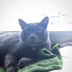 Meet your Posher, Rebekah